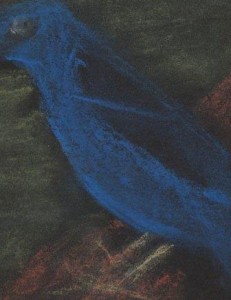 Blauer Vogel 18.5 - Kreide auf schwarzen Papier/A4