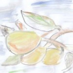 Die Birnen 20.5 - Aquarell auf Papier/A4